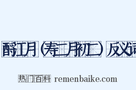 酹江月（寿二月初二）反义词是什么意思的图片